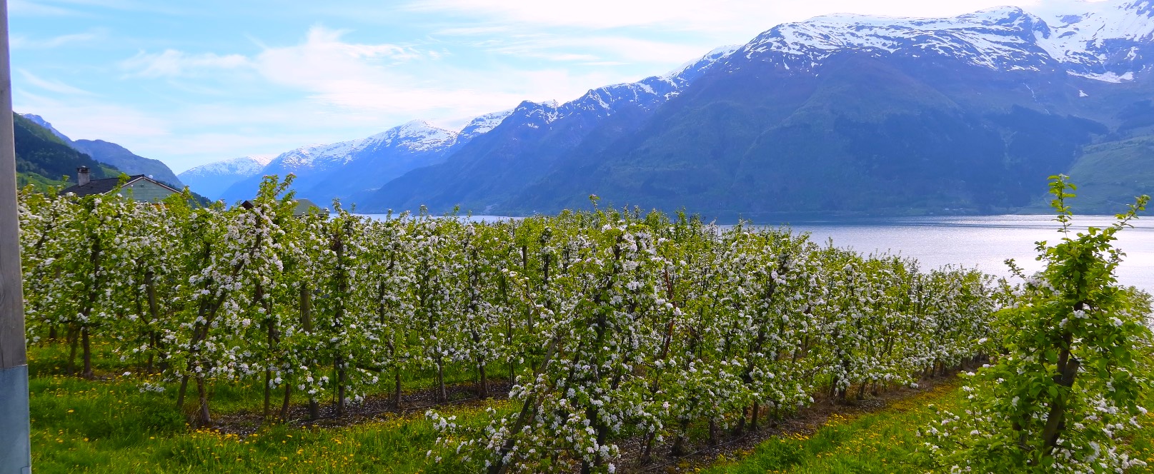 VinTour - More than just wine tourism !