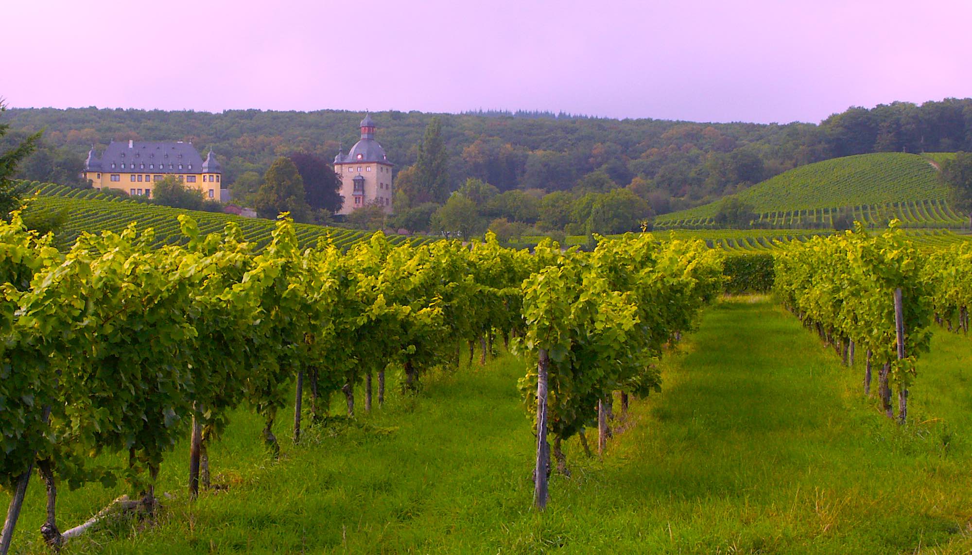 VinTour - More than just wine tourism !