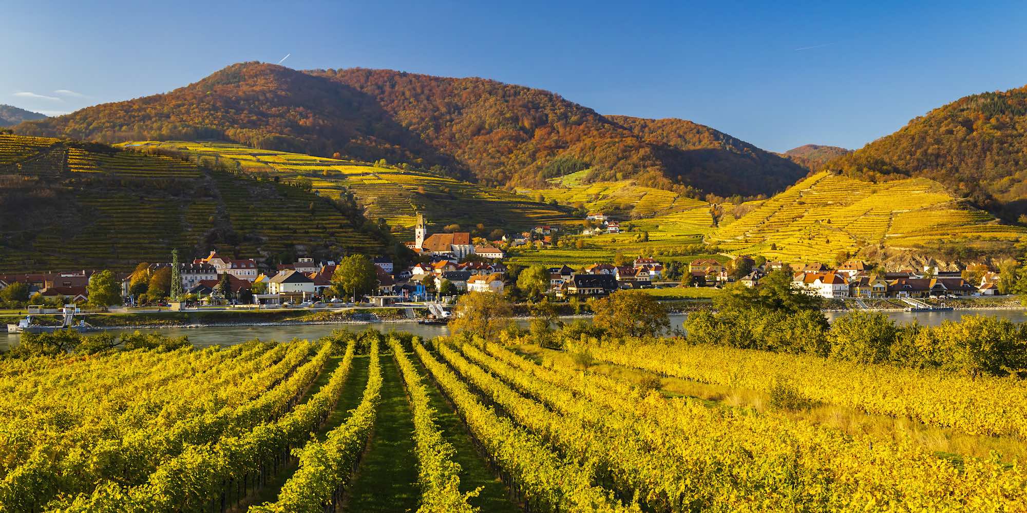 VinTour - More than just wine tourism !